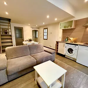  Appartement Superbe 2p Mezzanine Au Coeur Du Vieil France